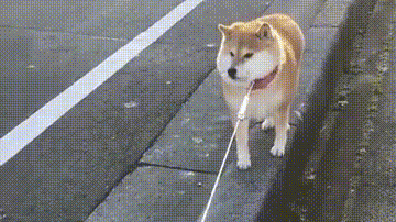 回家?休想!去玩?好啊!